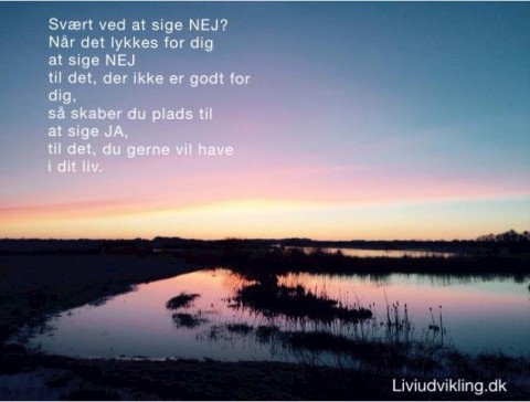 Sig nej, når du mener det. Liviudvikling