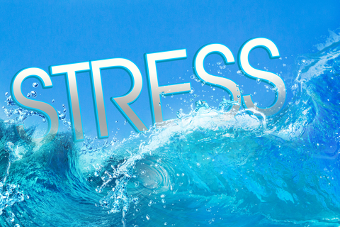 Stress og motion. Hvad virker bedst